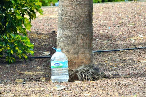 A Thing Of The Past? The PET bottle - already the target of naturally occurring superbugs